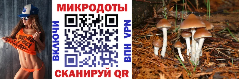 Псилоцибиновые грибы Psilocybe  нарко площадка телеграм  Пошехонье 