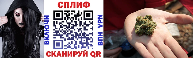 Марихуана план  Пошехонье 
